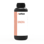 Dental Gingiva