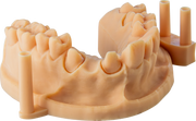 Dental Model Pro