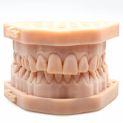Dental_model_resin_for_3d_printing_anycubic_asiga_phrozen_elegoo_